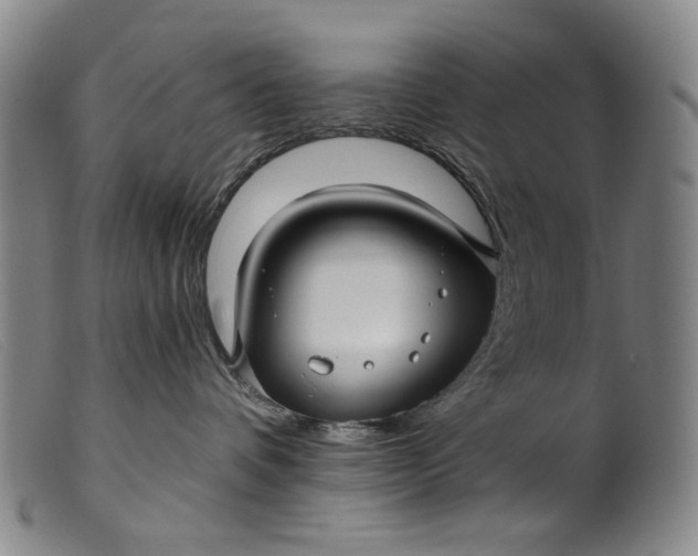 X0000099420336200805231635