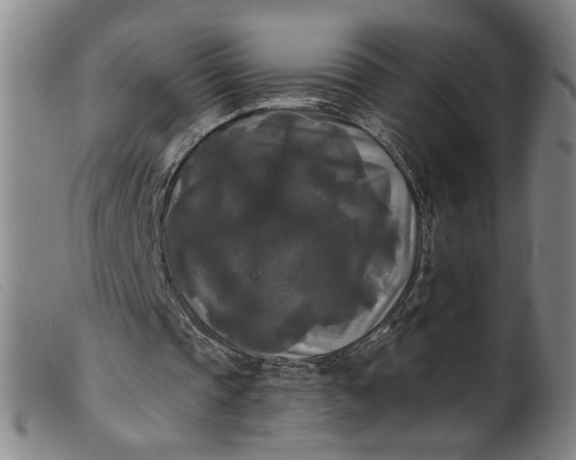 X0000099420337200805231634