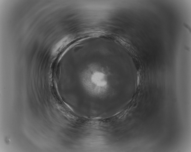 X0000099420339200805231634