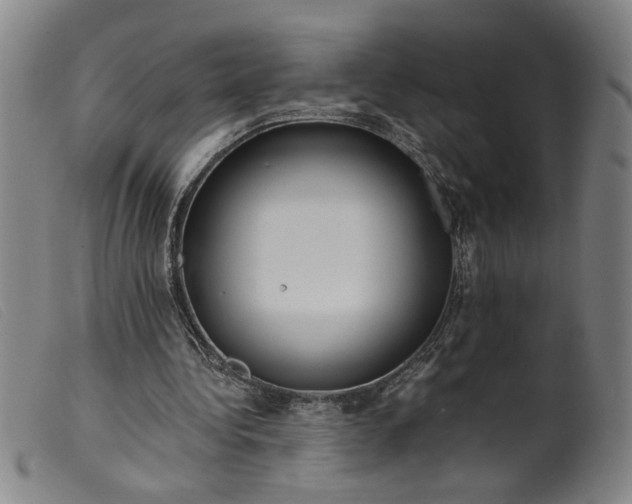 X0000099420340200805231634
