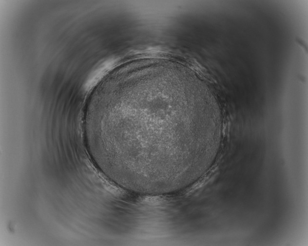 X0000099420341200805231634