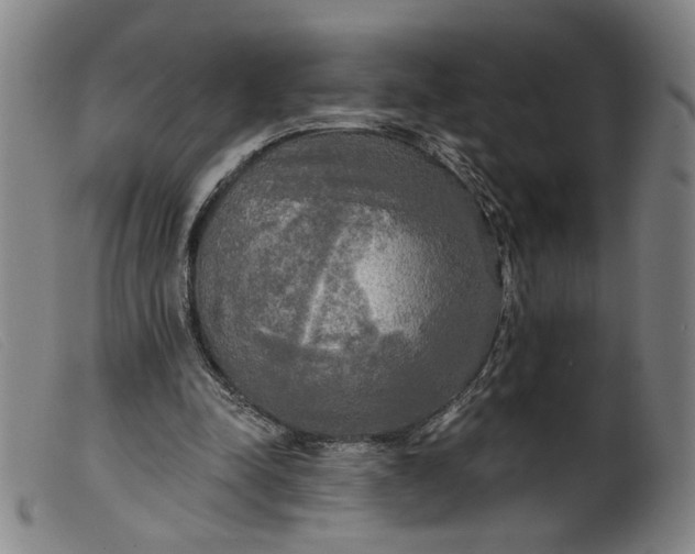 X0000099420342200805231634