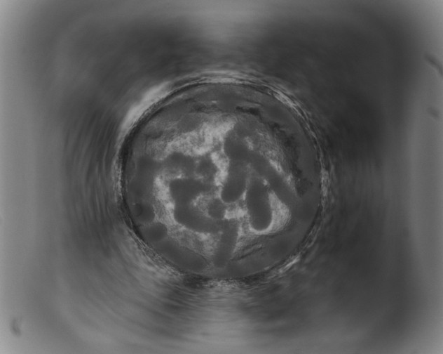 X0000099420343200805231634