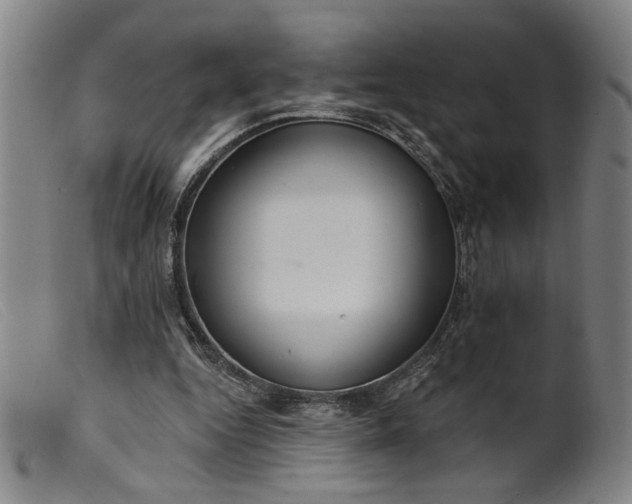 X0000099420344200805231634