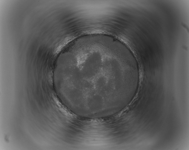 X0000099420345200805231634