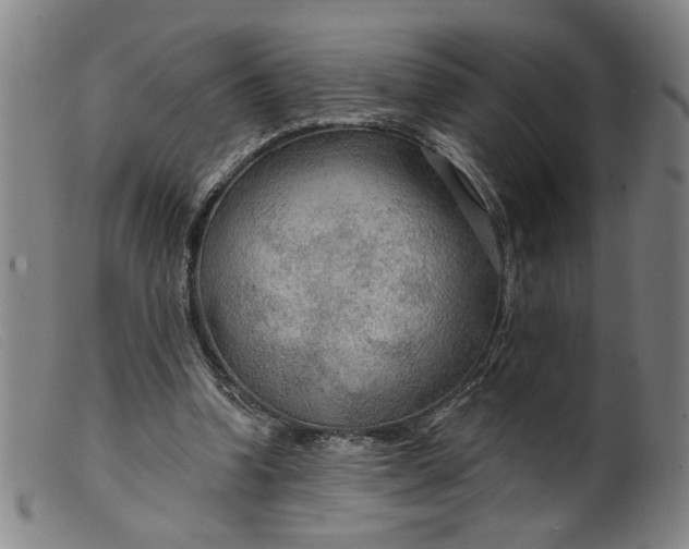 X0000099420346200805231634