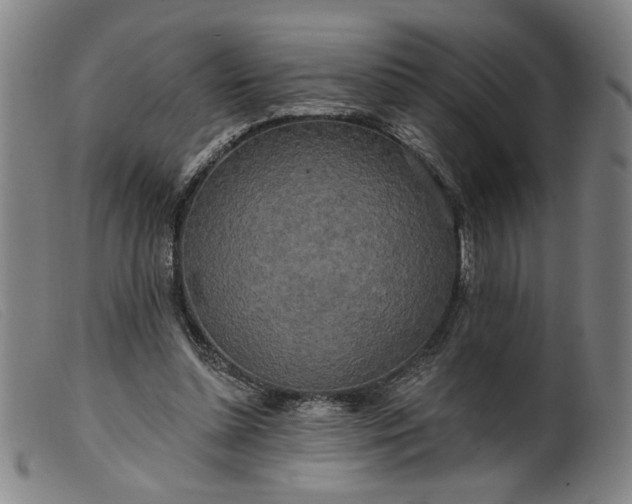 X0000099420348200805231634