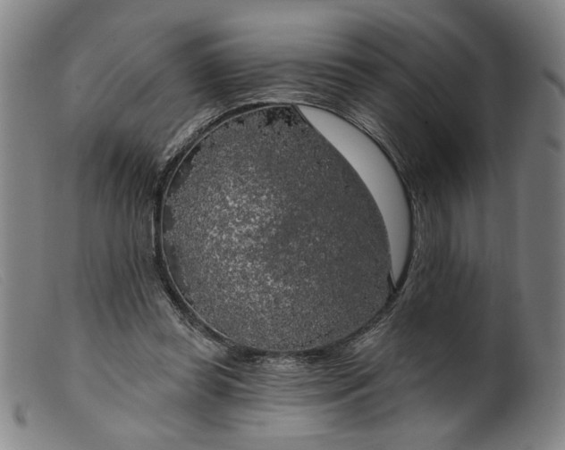 X0000099420349200805231634