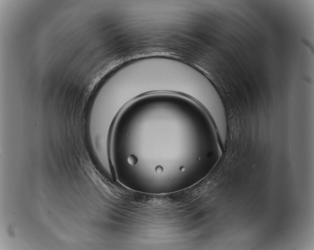 X0000099420350200805231634