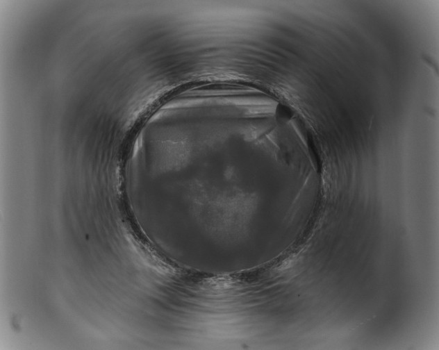 X0000099420351200805231634