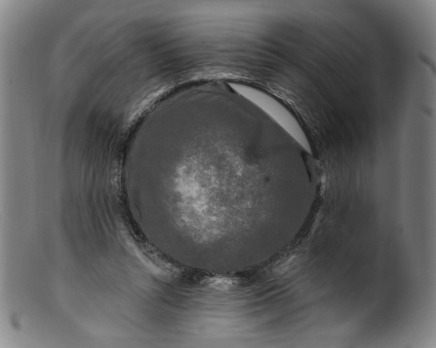 X0000099420352200805231634