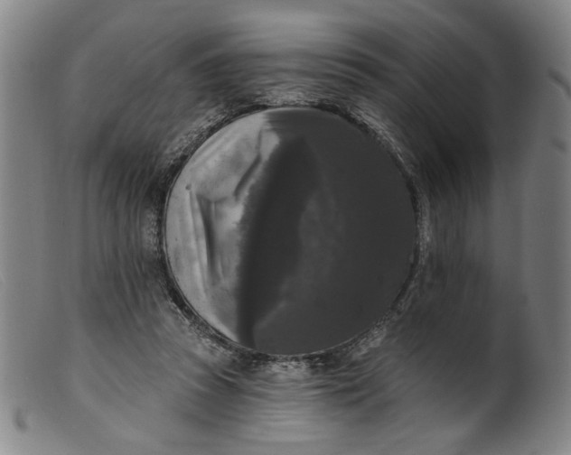 X0000099420353200805231634