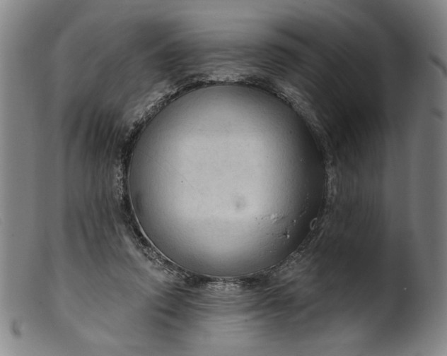 X0000099420354200805231634