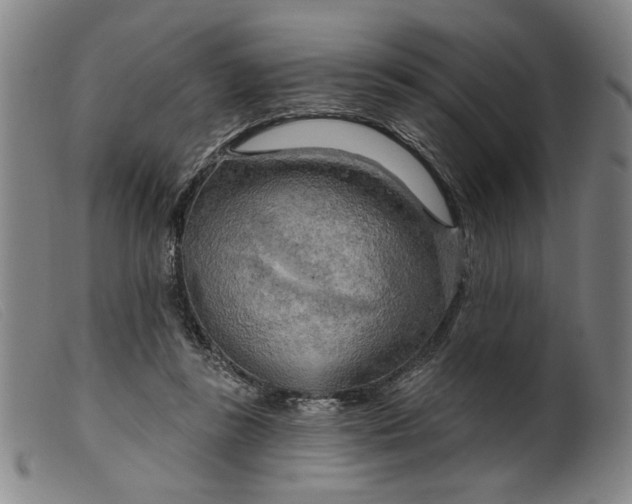 X0000099420355200805231634