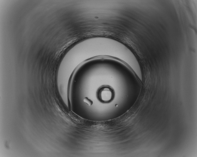 X0000099420356200805231634