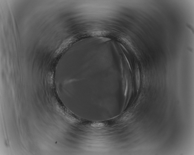 X0000099420357200805231634
