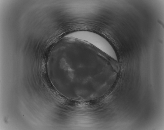 X0000099420359200805231634