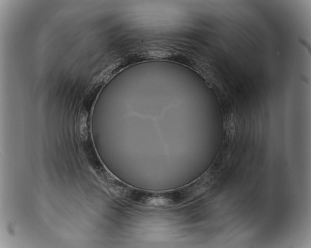 X0000099420360200805231635