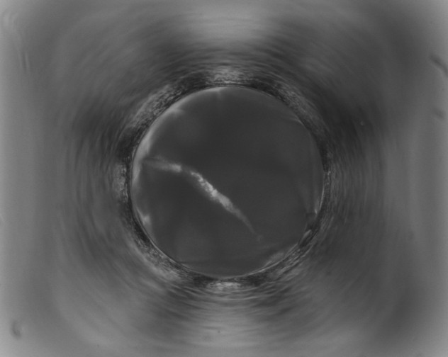 X0000099420361200805231635