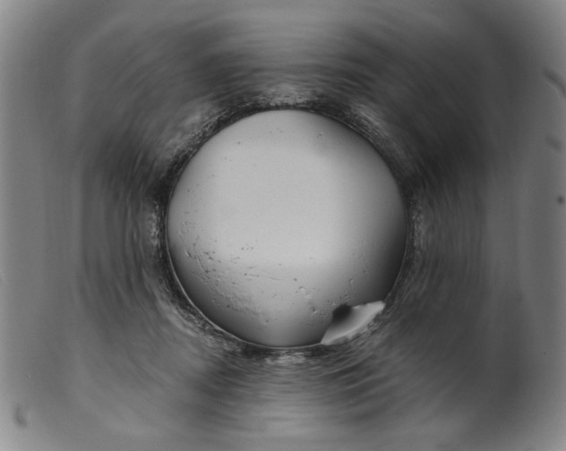 X0000099420362200805231635