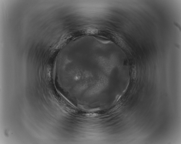X0000099420363200805231635