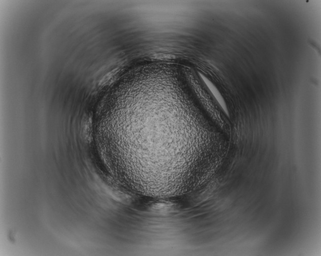 X0000099420364200805231635
