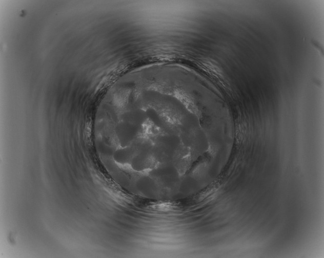 X0000099420365200805231635