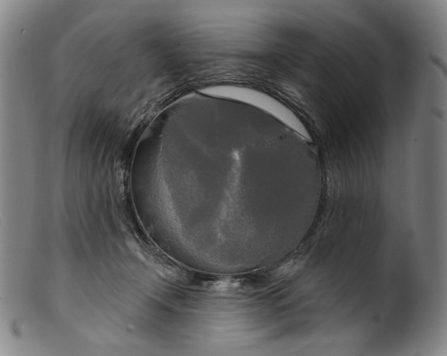 X0000099420366200805231635