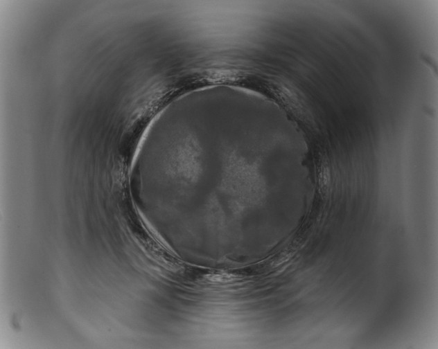X0000099420367200805231635