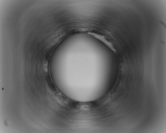 X0000099420368200805231635