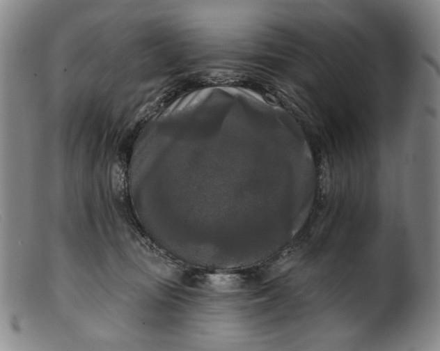 X0000099420371200805231635