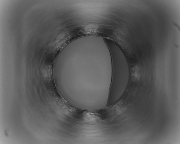 X0000099420372200805231635
