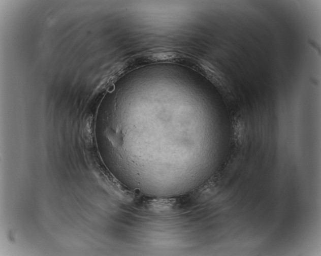 X0000099420373200805231635