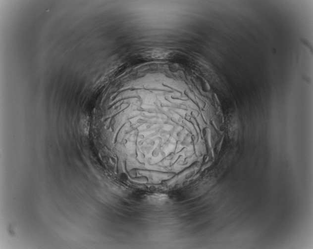 X0000099420374200805231635