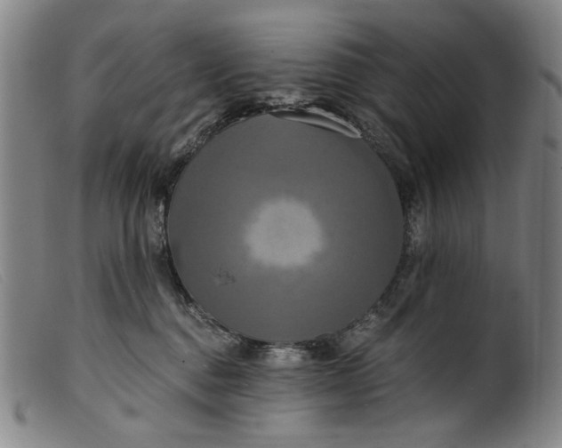 X0000099420376200805231635