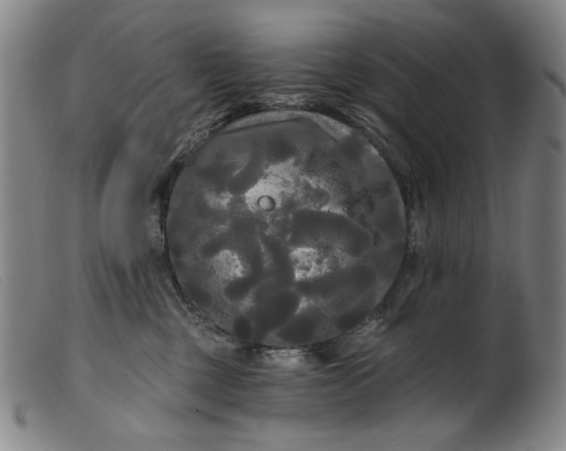 X0000099420377200805231635