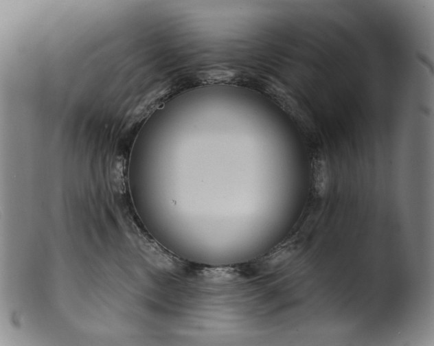 X0000099420378200805231635