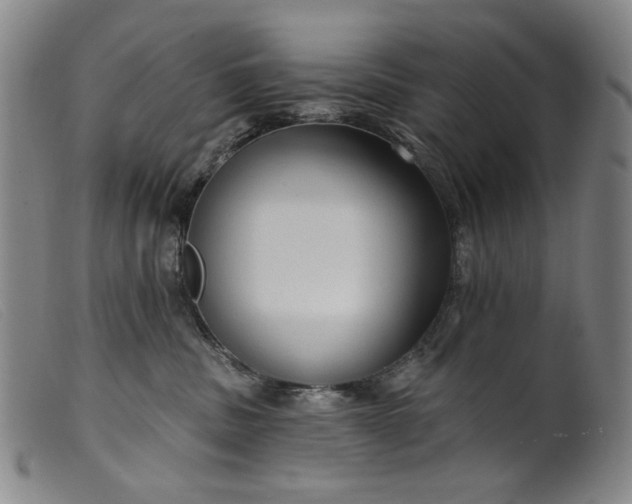 X0000099420379200805231635