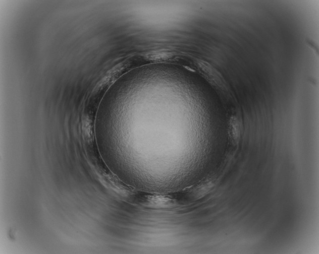 X0000099420380200805231635