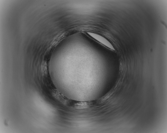 X0000099420381200805231635
