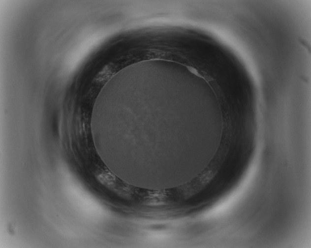 X0000099420382200805231635