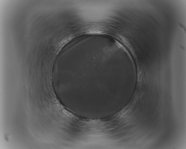 X0000099420385200805231634