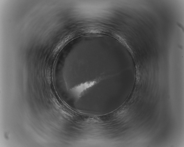 X0000099420386200805231634