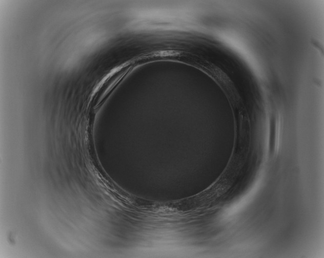 X0000099420387200805231634
