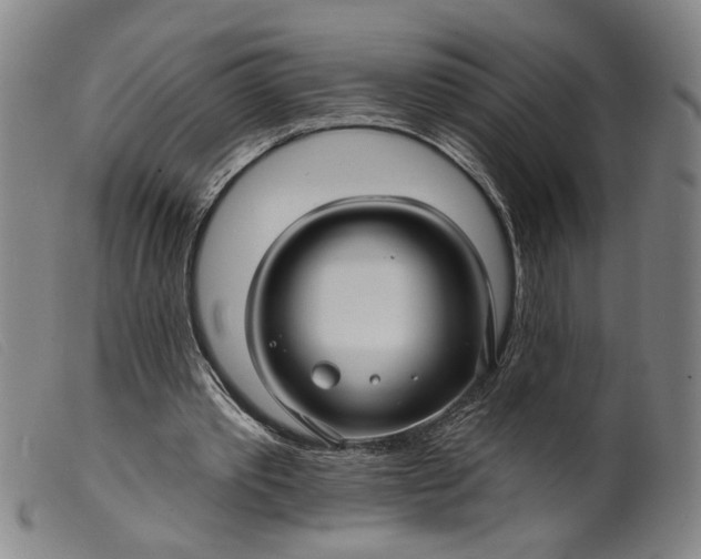 X0000099420389200805231634