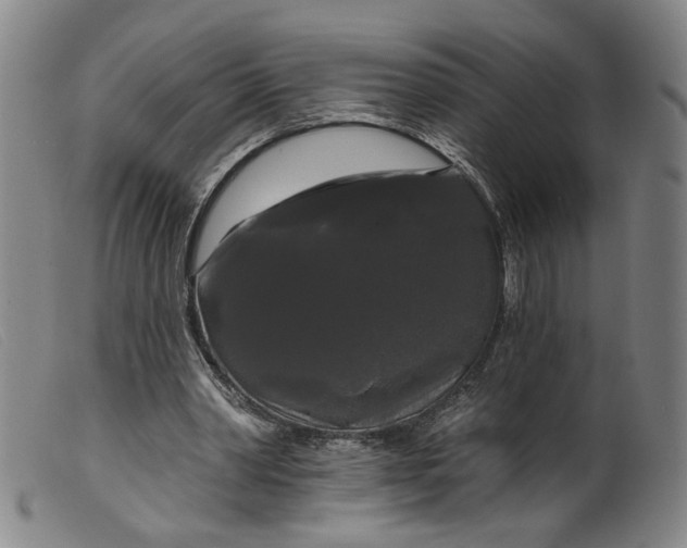 X0000099420390200805231634