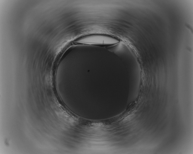 X0000099420391200805231634