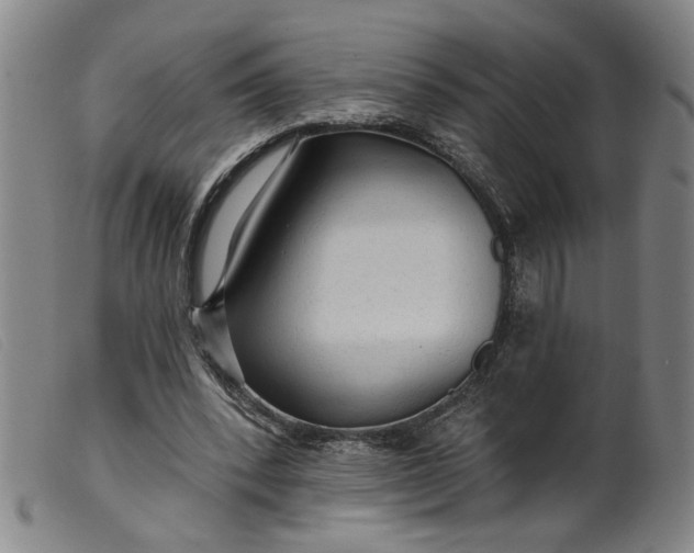 X0000099420392200805231634