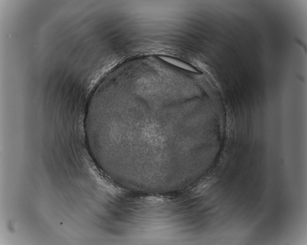 X0000099420394200805231634