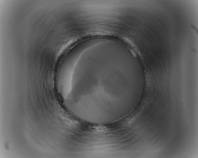 X0000099420395200805231634